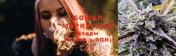 гидра Михайловск