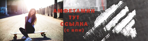 гидра Михайловск
