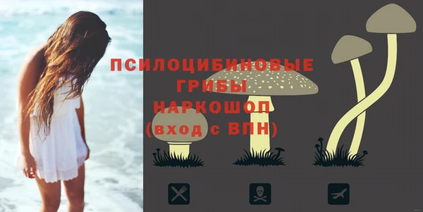 крисы Михайлов