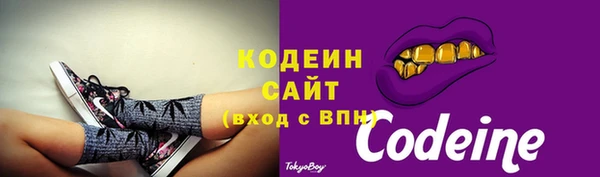 стаф Медногорск