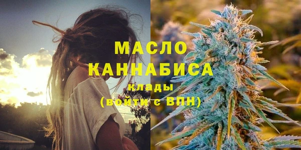 стаф Медногорск