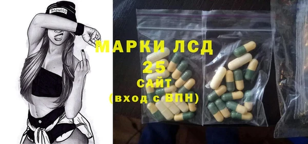 гидра Михайловск